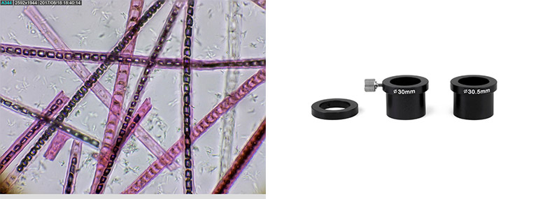 AM7025x-img2.jpg AM7025x-img2.jpg