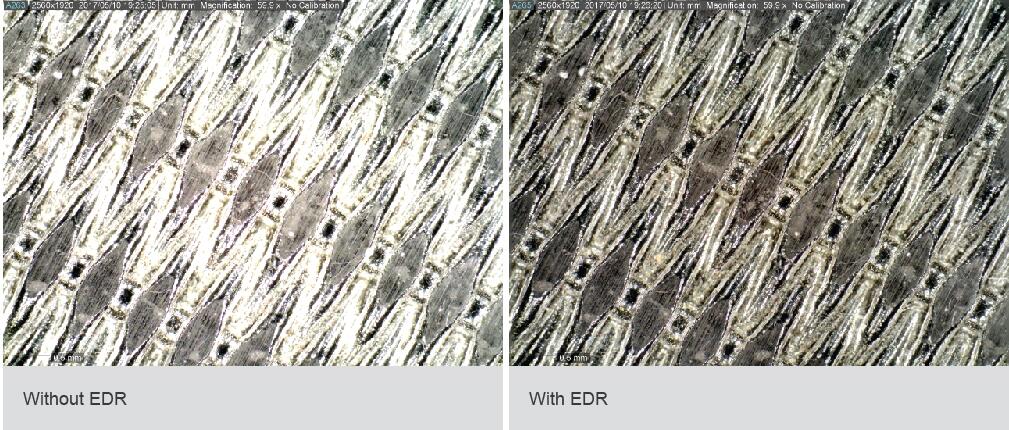 AM73915MZTL-img4.jpg AM73915MZTL-img4.jpg