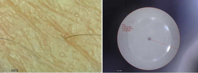 AM7013MT-img3.jpg AM7013MT-img3.jpg