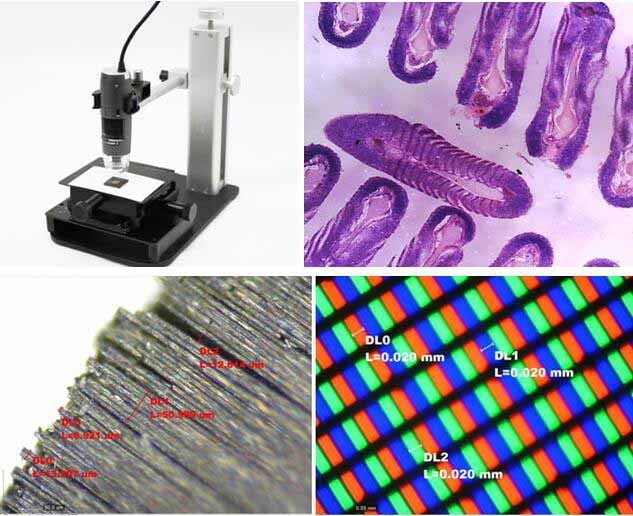 AM4515T8-img1.jpg AM4515T8-img1.jpg