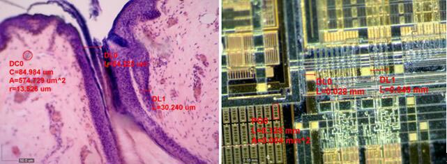 AM4515T5-img3.jpg AM4515T5-img3.jpg