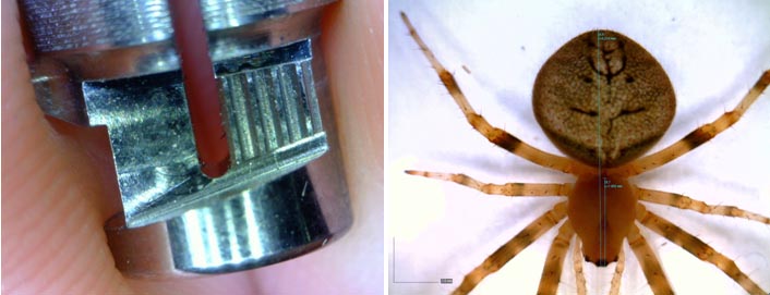 AM4113ZTL-img4.jpg AM4113ZTL-img4.jpg