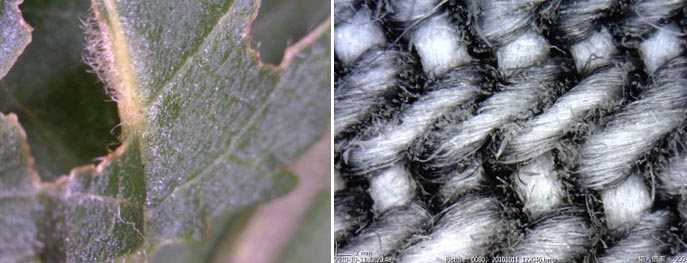 AM3111-img2.jpg AM3111-img2.jpg